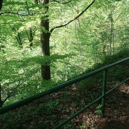 Pension/Bed And Breakfast Pangea Bad Lauterberg Exterior foto