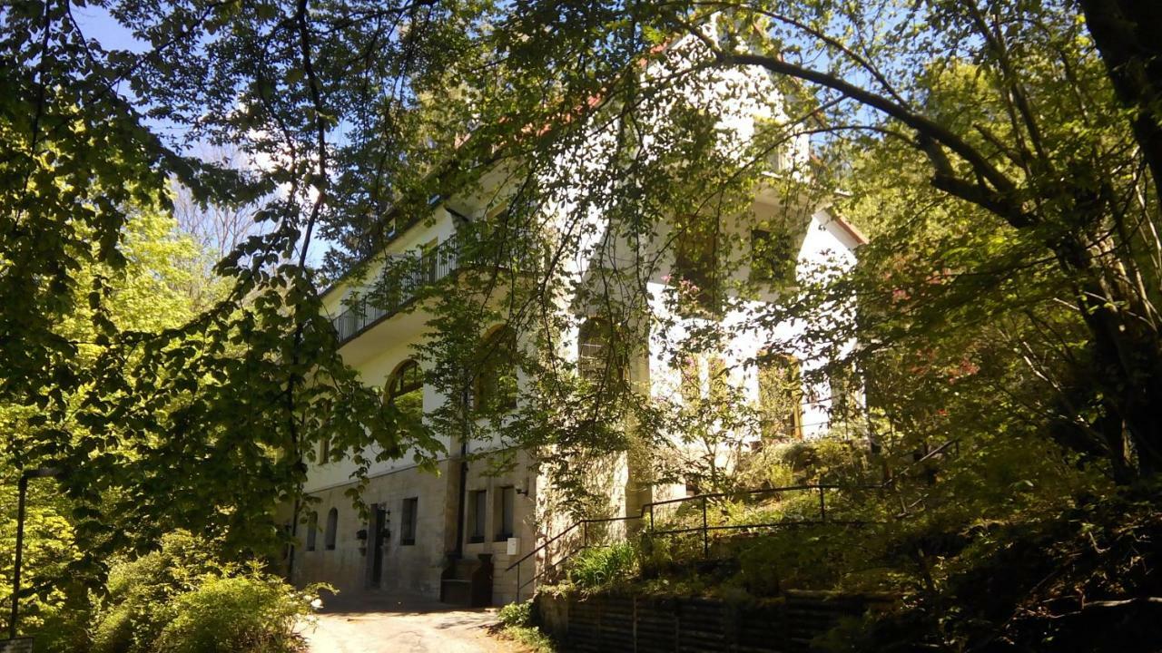 Pension/Bed And Breakfast Pangea Bad Lauterberg Exterior foto