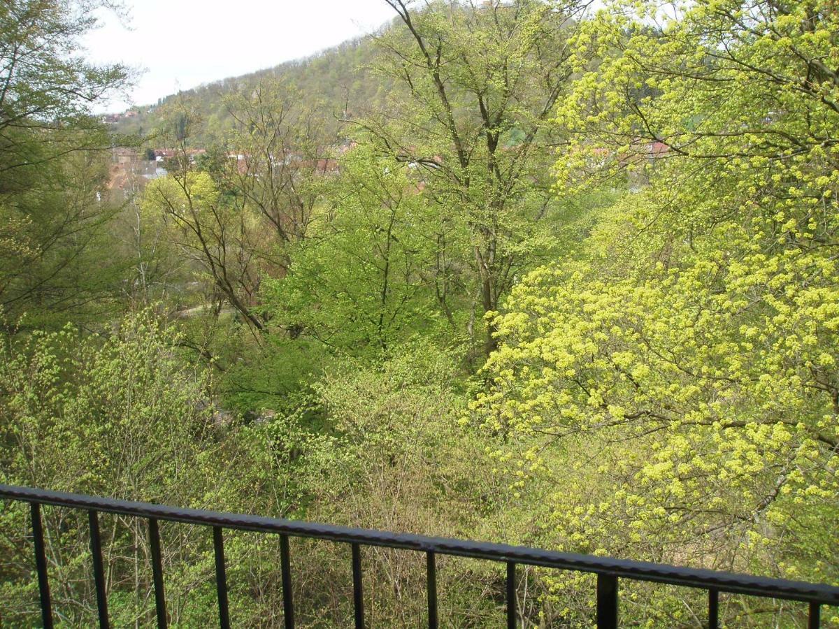 Pension/Bed And Breakfast Pangea Bad Lauterberg Exterior foto
